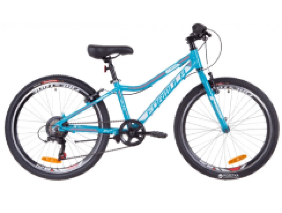bike picture